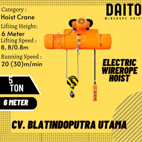 DAITO ELECTRIC WIRE ROPE HOIST TYPE : CD1 CAP. 5 TON
