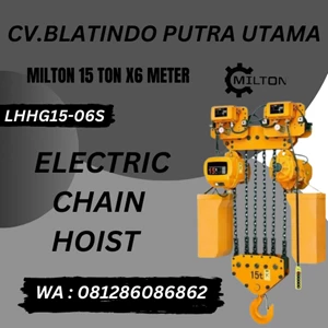 MILTON ELECTRIC CHAIN HOIST TROLLEY 3 PHASE 6 FALL CAPACITY 15 TON X 6 METER
