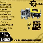 wire rope hoist 3.2 tons 9 meters MILTON 3