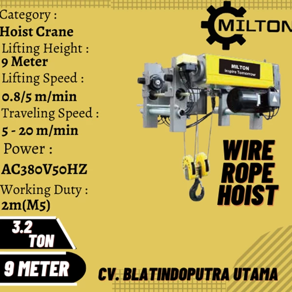 wire rope hoist 3.2 ton 9 meter MILTON